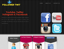 Follower Twit